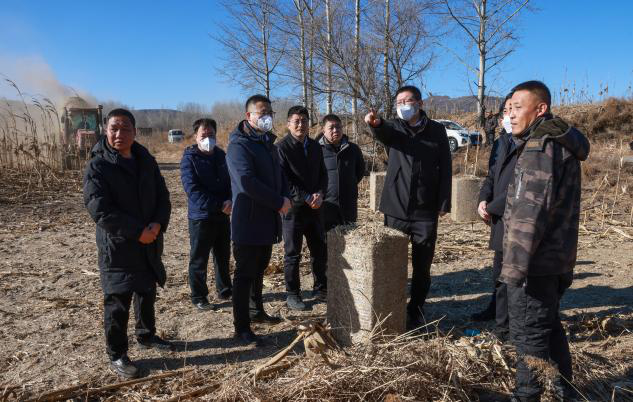 365用英语怎么翻译_365网址经常打不开_365bet游戏网站委常委、平定县委书记李明调研林草防火和林缘地秸秆清理工作